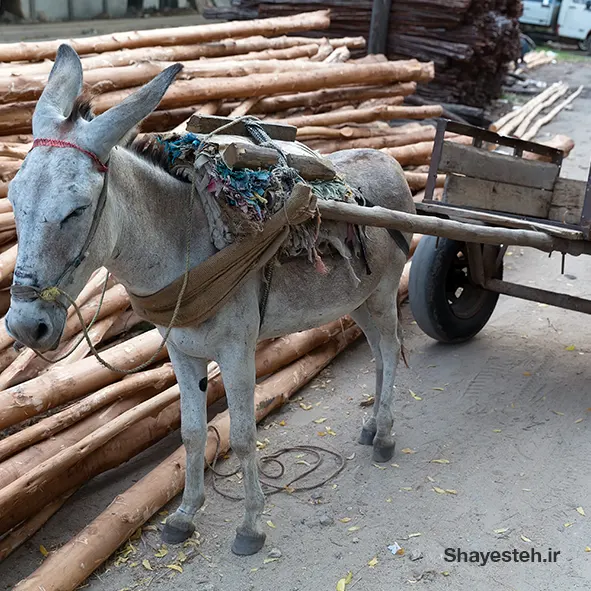 Makete integrated rural transport project